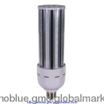 CE RoHS Cert 25W LED Courtyard lamp